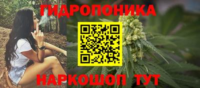 дмт Боровичи
