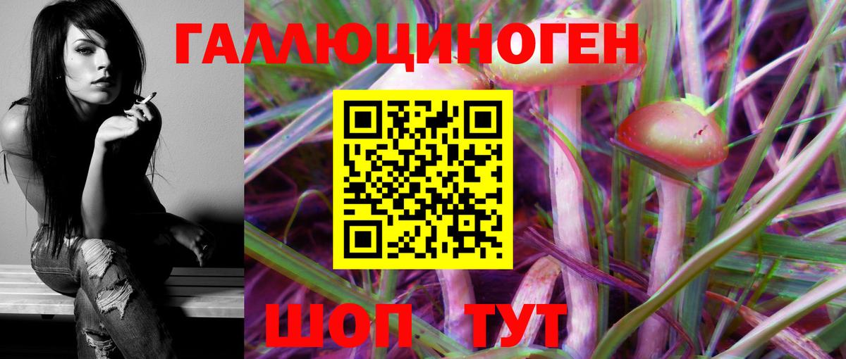 Псилоцибиновые грибы MAGIC MUSHROOMS  Вход с VPN  Сосновый Бор  Галлюциногенные грибы Psilocybe 
